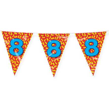 Flagline 8 Jahre Farbig 10m