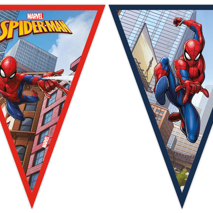 Spiderman Flaggenleine 2,3m