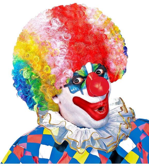 Bunte Perücke Clown