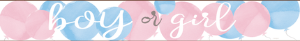 Gender Reveal Banner Junge oder Mädchen 2.74m