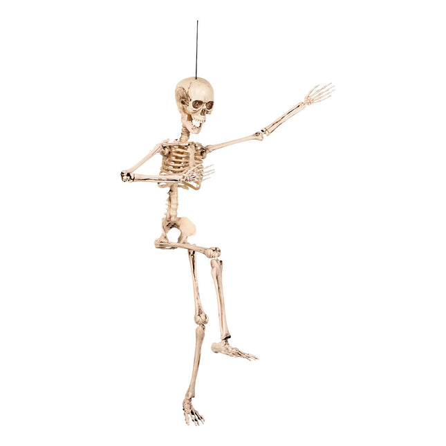 Halloween Skelett 50cm