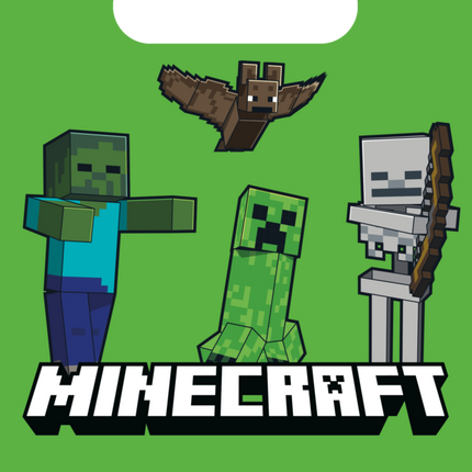 Minecraft Sharing Bags 4pcs