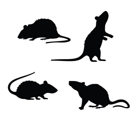 Halloween Tischdekoration Ratten