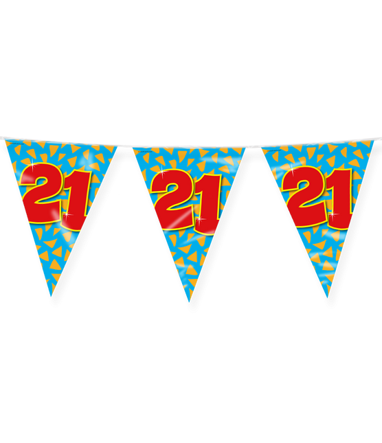 Flagline 21 Jahre Farbig 10m
