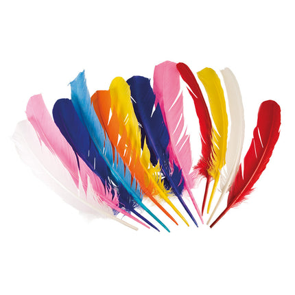 Party-Favoriten Federn 30cm 12Stück