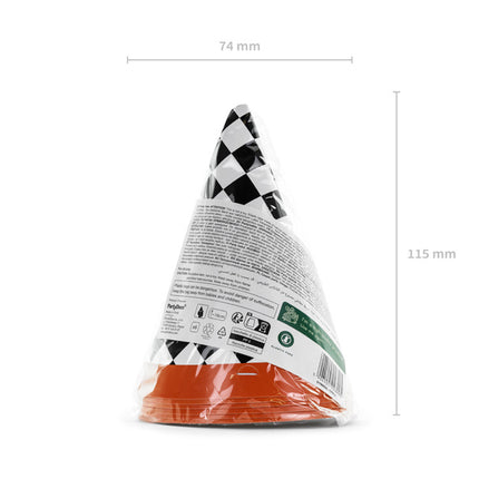 Race Party Hüte 16cm 6Stk