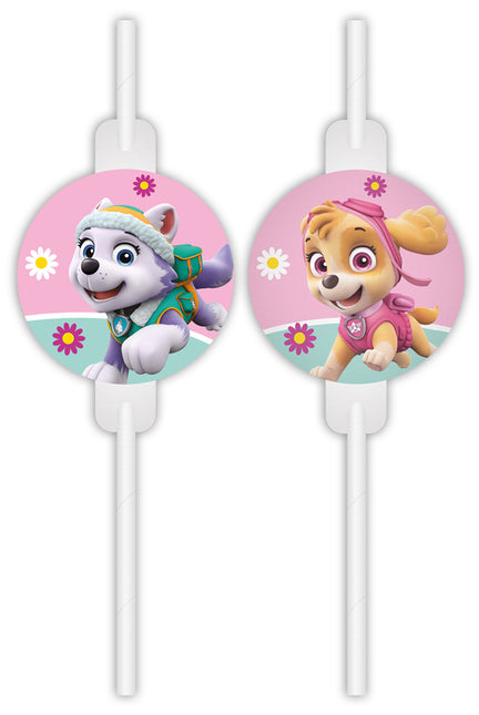 Paw Patrol Strohhalme Skye und Everest 4 Stk.
