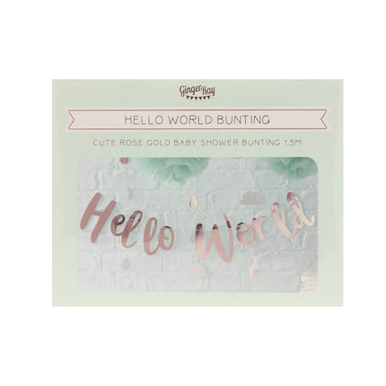Rose Gold Buchstabengirlande Hallo Welt 1,5m
