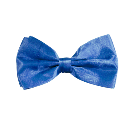 Blaue Fliege