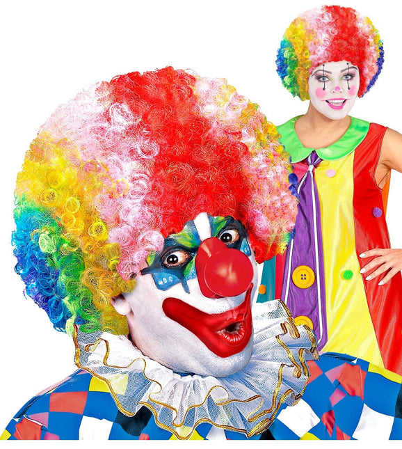 Bunte Perücke Clown