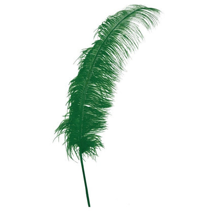 Grüne Straußenfedern 50cm 12St.