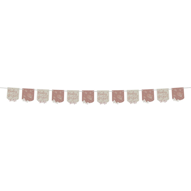 Geburtsbrief Girlande Babygirl 6m