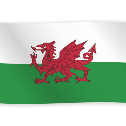 Wales Flagge 1.5m