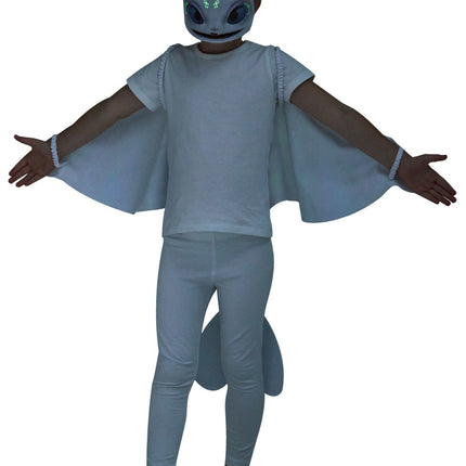 Light Fury Suit Kinderset