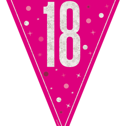 18 Jahre Girlande Rosa 2,5m