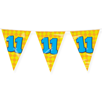Flagline 11 Jahre Farbig 10m