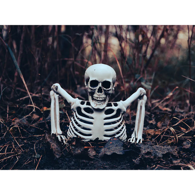 Halloween Skelett 20cm