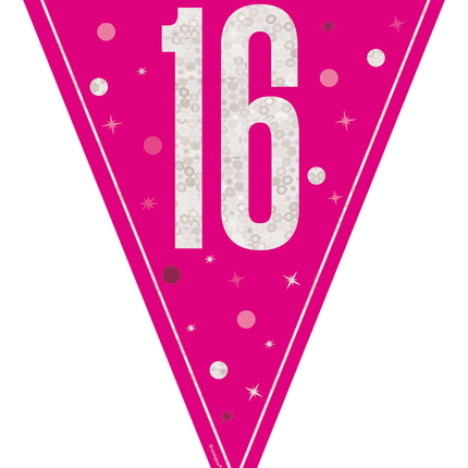 16 Jahre Girlande Rosa 2,5m