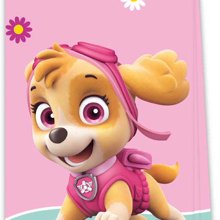 Paw Patrol Sharing Bags Skye und Everest 4tlg