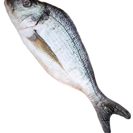 Grauer Fake Fisch 55cm