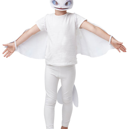 Light Fury Suit Kinderset