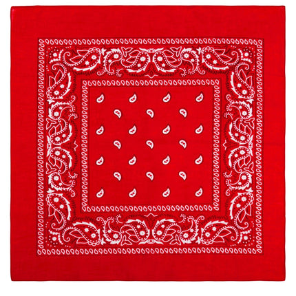 Rotes Halstuch Bandana