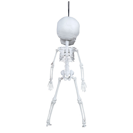 Halloween Hängedekoration Skelett 40cm