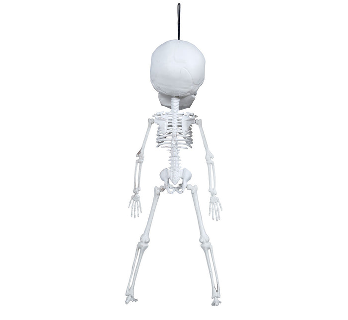 Halloween Hängedekoration Skelett 40cm