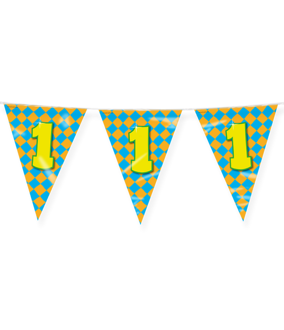 Flagline 1 Jahr Farbig 10m