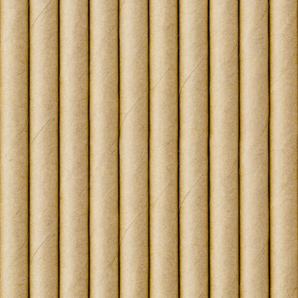 Papierstrohhalme aus Karton 19,5 cm 10 Stk.