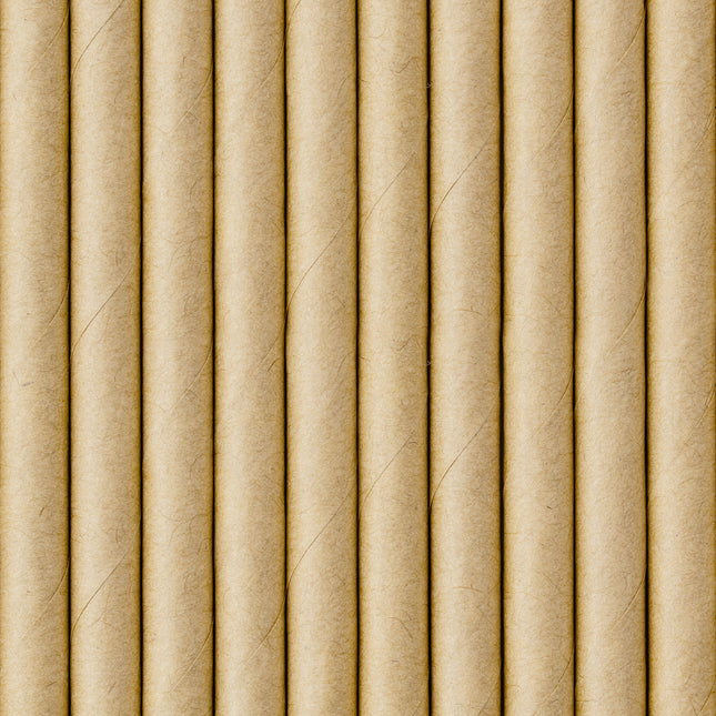 Papierstrohhalme aus Karton 19,5 cm 10 Stk.
