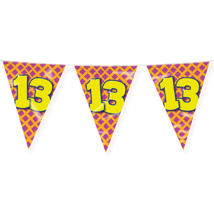 Flagline 13 Jahre Farbig 10m