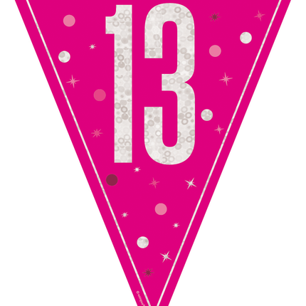 13 Jahre Girlande Rosa 2,5m