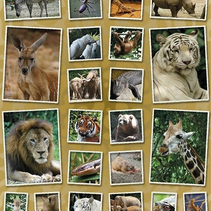 Wild Life Aufkleber