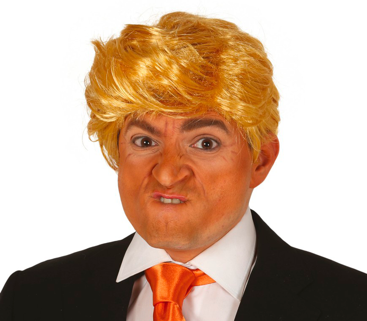 Donald Trump Wig Präsident