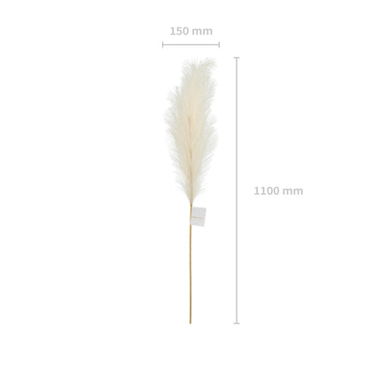 Trockenblumen Pampas 1.1m