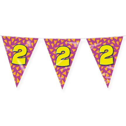 Flagline 2 Jahre Farbig 10m