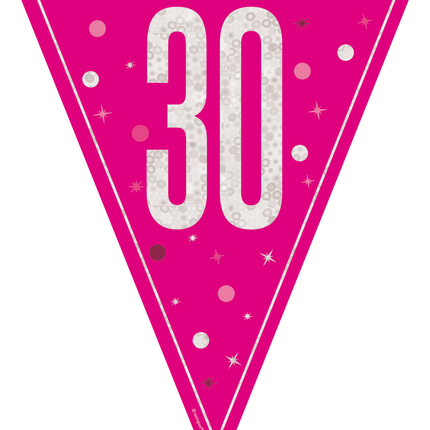 30 Jahre Girlande Rosa 2,5m