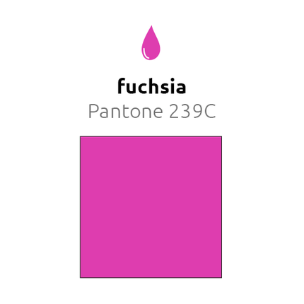 Fuchsia Ballonnen 30cm 10st - Partywinkel - 8436540889775