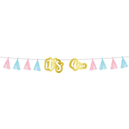 Gender Reveal Letterslinger 2,4m van Riethmueller koop je bij Partywinkel