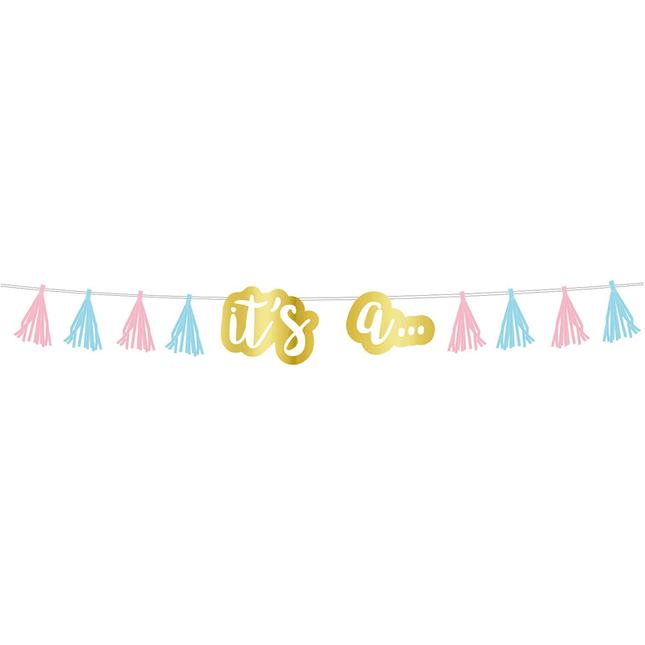 Gender Reveal Letterslinger 2,4m van Riethmueller koop je bij Partywinkel