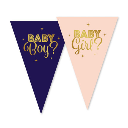 Gender Reveal Slinger Blauw Roze 10m van WeFiesta koop je bij Partywinkel