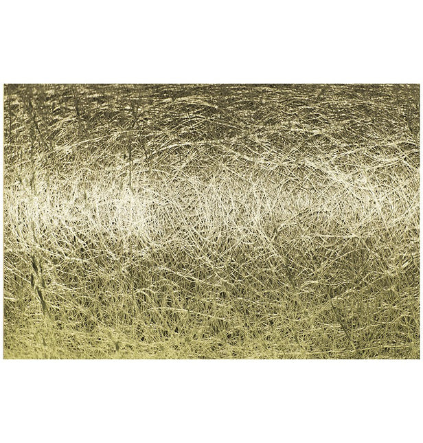 Goldener Tischläufer Gloss 10M