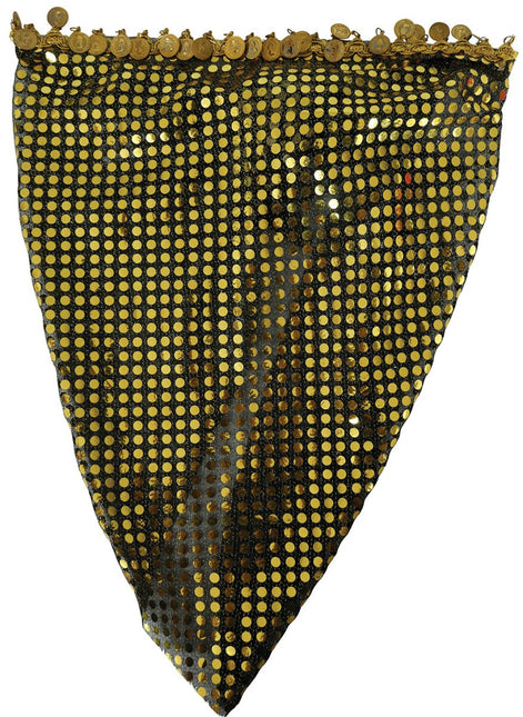 Gouden Hoofdband Munten - Partywinkel - 8434077137413