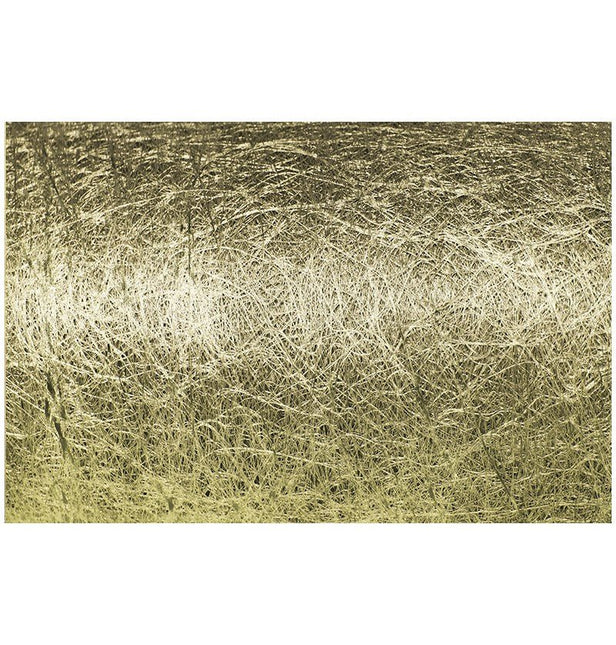 Gouden Tafelloper Glans 10M 30cm van CHAKS koop je bij Partywinkel