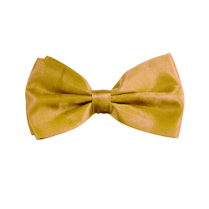 Gouden Vlinderdas van Partychimp koop je bij Partywinkel