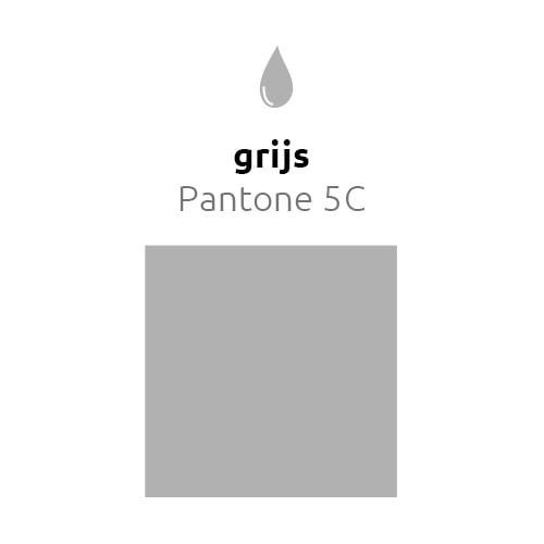 Grijze Ballonnen 30cm 10st - Partywinkel - 8436540889867