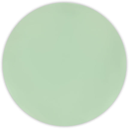 Groene Borden Pastel 25cm 2st van Procos koop je bij Partywinkel