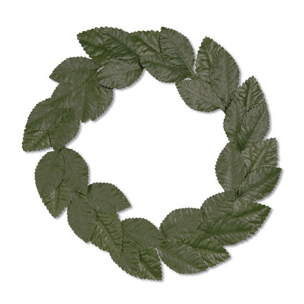 Groene Hoofdband Lauwerkrans van Widmann koop je bij Partywinkel