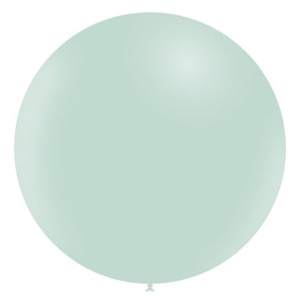 Groene Reuze Ballon Pastel XL 91cm van Balloonia koop je bij Partywinkel